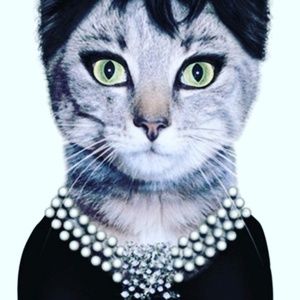 Meet your Posher, Amy